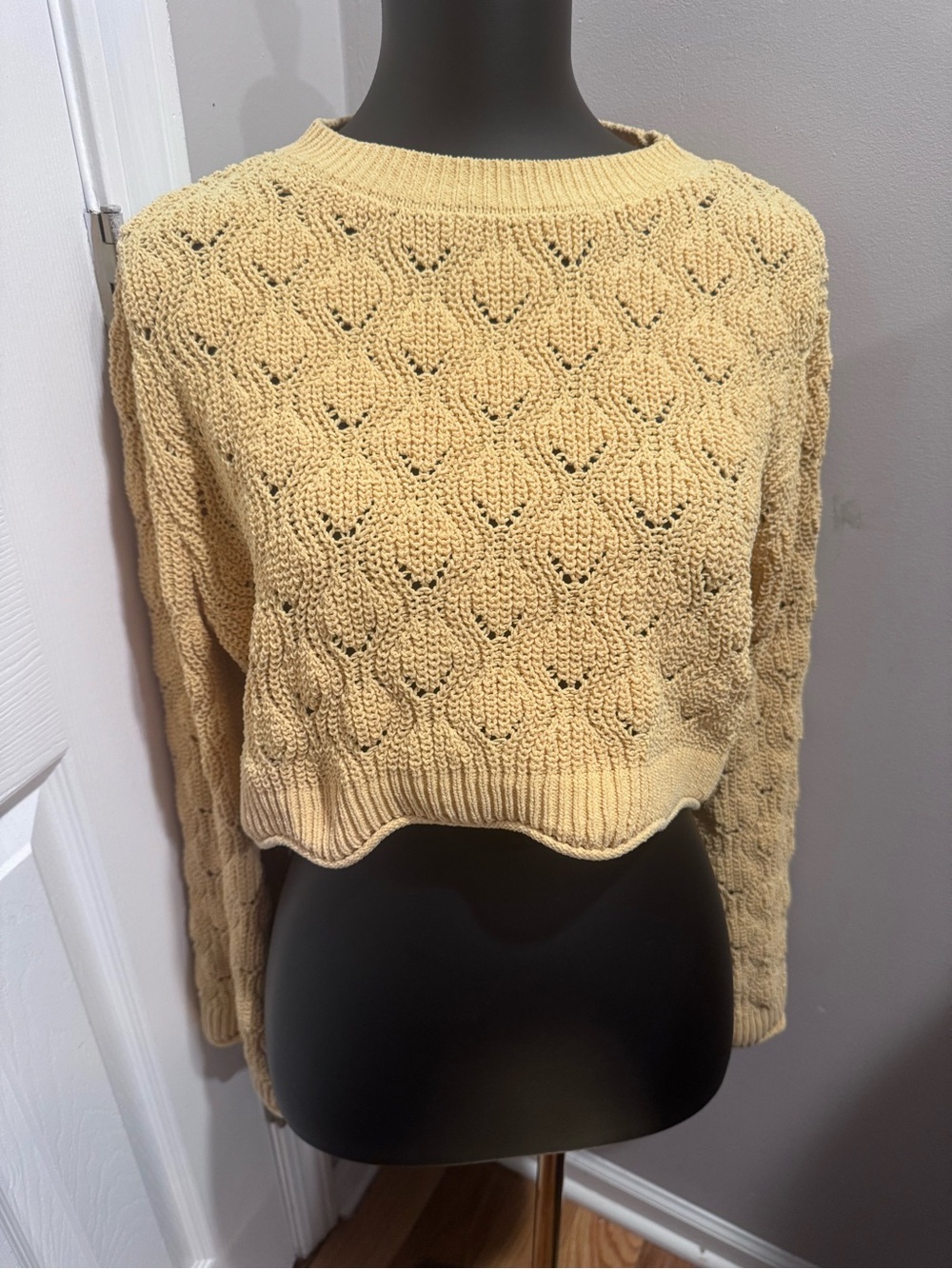 Mi Ami for Francesca’s Cream Pointelle Knit Cropped Sweater Large Cottagecore